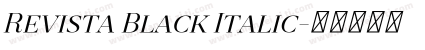 Revista Black Italic字体转换
